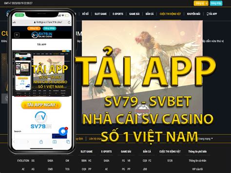 vsbet.com,site igual blaze